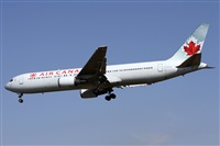 Alfonso Sols - Asociacin Canary Islands Spotting. Click to see full size photo