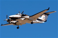 ©Adolfo Bento - Gran Canaria Spotters. Click to see full size photo ©Adolfo Bento - Gran Canaria Spotters. Click to see full size photo
