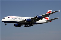 Alfonso Sols - Asociacin Canary Islands Spotting. Click to see full size photo