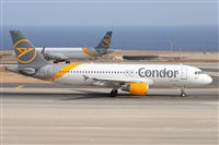 Miguel A. gueda Rguez.  (CANARY ISLANDS SPOTTING). Click to see full size photo