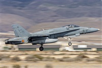 ©Daniel Santos Batista - Canary Islands Spotting. Click to see full size photo ©Daniel Santos Batista - Canary Islands Spotting. Click to see full size photo
