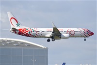 Miguel A. gueda Rguez.  (CANARY ISLANDS SPOTTING). Haz click para ampliar