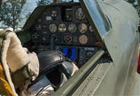 Rod Dermo. Click to see full size photo