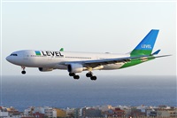Miguel A. gueda Rguez.  (CANARY ISLANDS SPOTTING). Click to see full size photo