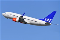 Miguel A. gueda Rguez.  (CANARY ISLANDS SPOTTING). Click to see full size photo