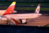 Miguel A. gueda Rguez.  (CANARY ISLANDS SPOTTING). Haz click para ampliar