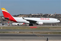 ©Alfonso Solís - Asociación Canary Islands Spotting. Click to see full size photo ©Alfonso Solís - Asociación Canary Islands Spotting. Click to see full size photo