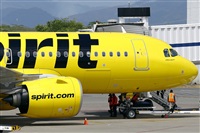La Roche Spotters. Haz click para ampliar