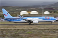 ©Daniel Santos Batista - Canary Islands Spotting. Click to see full size photo ©Daniel Santos Batista - Canary Islands Spotting. Click to see full size photo