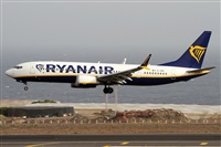Alfonso Sols - Asociacin Canary Islands Spotting. Haz click para ampliar