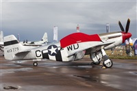 Florencio Martn Melin - Lanzarote Spotters. Click to see full size photo