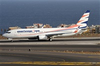©Alfonso Solís - Asociación Canary Islands Spotting. Click to see full size photo ©Alfonso Solís - Asociación Canary Islands Spotting. Click to see full size photo