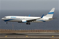 ©Alfonso Solís - Asociación Canary Islands Spotting. Click to see full size photo ©Alfonso Solís - Asociación Canary Islands Spotting. Click to see full size photo