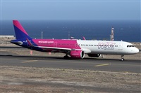 ©Alfonso Solís - Asociación Canary Islands Spotting. Click to see full size photo ©Alfonso Solís - Asociación Canary Islands Spotting. Click to see full size photo