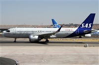 Alfonso Sols - Asociacin Canary Islands Spotting. Click to see full size photo