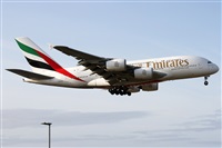 Alfonso Sols - Asociacin Canary Islands Spotting. Click to see full size photo