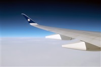 Csar Prieto. Click to see full size photo