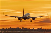 ©Jose M. Deza. Click to see full size photo ©Jose M. Deza. Click to see full size photo