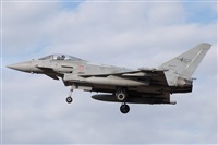 �Sergio Cambronero - Asociaci�n AIRE. Click to see full size photo