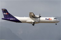 �Adolfo Bento - Gran Canaria Spotters. Click to see full size photo