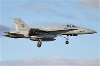 �Vicente Aguil�. Click to see full size photo