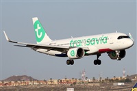 �Alfonso Sol�s - Asociaci�n Canary Islands Spotting. Click to see full size photo