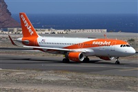 �Alfonso Sol�s - Asociaci�n Canary Islands Spotting. Click to see full size photo