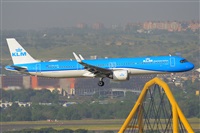 �Miguel A. �gueda Rguez.  (CANARY ISLANDS SPOTTING). Click to see full size photo