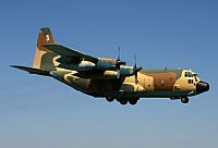 Fco. Javier Snchez. Click to see full size photo