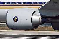 Jos Miguel Bernases - Noisy Spotters. Click to see full size photo