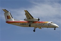 Jos Miguel Bernases - Noisy Spotters. Click to see full size photo