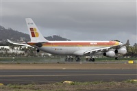 Ayoze Santana Mendez - Canary Islands Spotting. Click to see full size photo