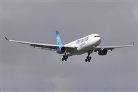 Alfonso Sols - Asociacin Canary Islands Spotting. Click to see full size photo