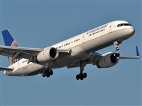 Manuel Noisy Spotters. Click to see full size photo
