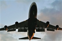 Miguel A. gueda Rguez.  (CANARY ISLANDS SPOTTING). Click to see full size photo