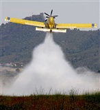 Josep Oll. Click to see full size photo