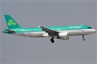 Rodrigo Carvalho - Noisy Spotters. Click to see full size photo
