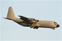Adrin Alonso Lemes - Lanzarote Spotters. Click to see full size photo