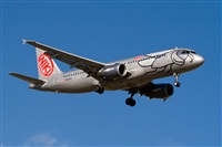 Javier de la Cruz - CANARY ISLANDS SPOTTING. Click to see full size photo