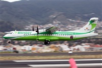 Nacho Rodriguez - Canary Islands Spotting. Click to see full size photo