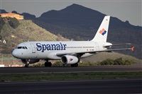 Javier de la Cruz - CANARY ISLANDS SPOTTING. Click to see full size photo