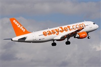 ©Alfonso Solís - Asociación Canary Islands Spotting. Click to see full size photo ©Alfonso Solís - Asociación Canary Islands Spotting. Click to see full size photo