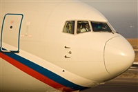 Javier de la Cruz - CANARY ISLANDS SPOTTING. Click to see full size photo