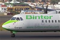 Javier de la Cruz - CANARY ISLANDS SPOTTING. Click to see full size photo