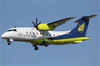 Rodrigo Carvalho - Noisy Spotters. Click to see full size photo