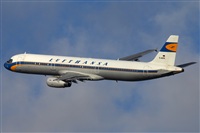 Miguel Alia - Noisy Spotters. Click to see full size photo