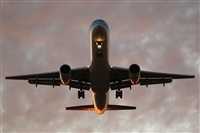 Saimon J Rodriguez   -   Canary Islands Spotting. Click to see full size photo