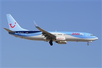 Miguel A. gueda Rguez.  (CANARY ISLANDS SPOTTING). Click to see full size photo