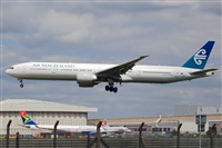 Javier de la Cruz - CANARY ISLANDS SPOTTING. Click to see full size photo