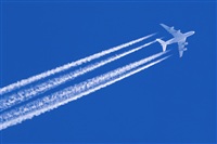 Javier de la Cruz - CANARY ISLANDS SPOTTING. Click to see full size photo